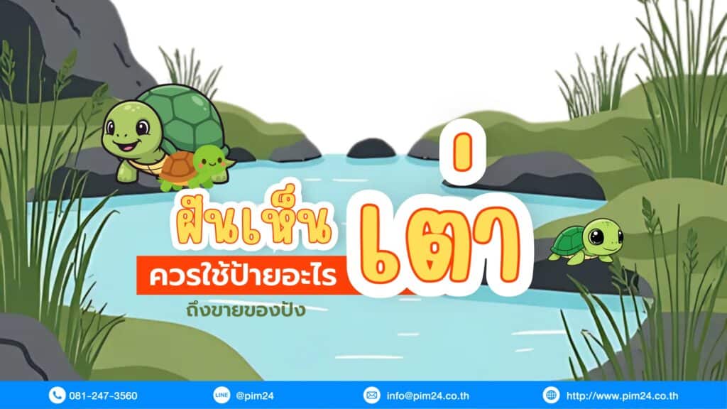 ฝันเห็นเต่า