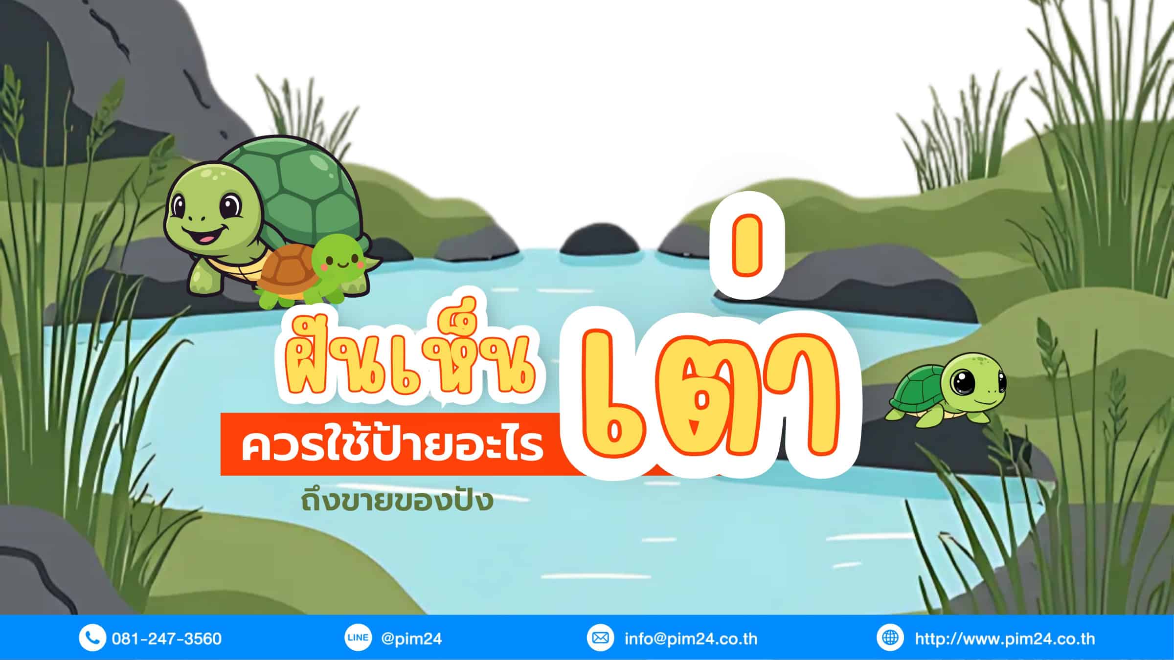ฝันเห็นเต่า